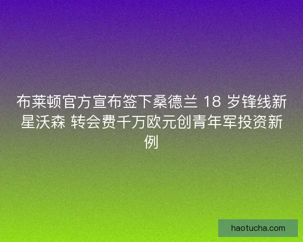 布莱顿官方宣布签下桑德兰 18 岁锋线新星沃森 转会费千万欧元创青年军投资新例